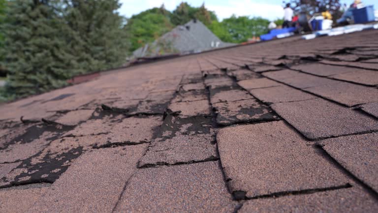 Best Flat Roofing  in Mack, OH