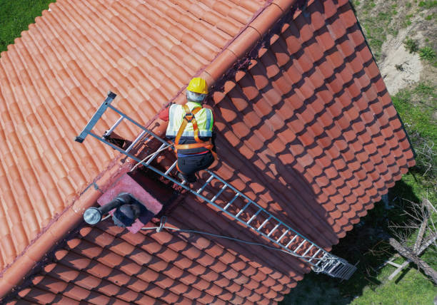 Best Roof Maintenance and Cleaning  in Mack, OH