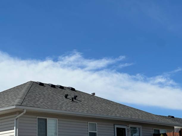 Best Solar Panel Roofing Installation  in Mack, OH